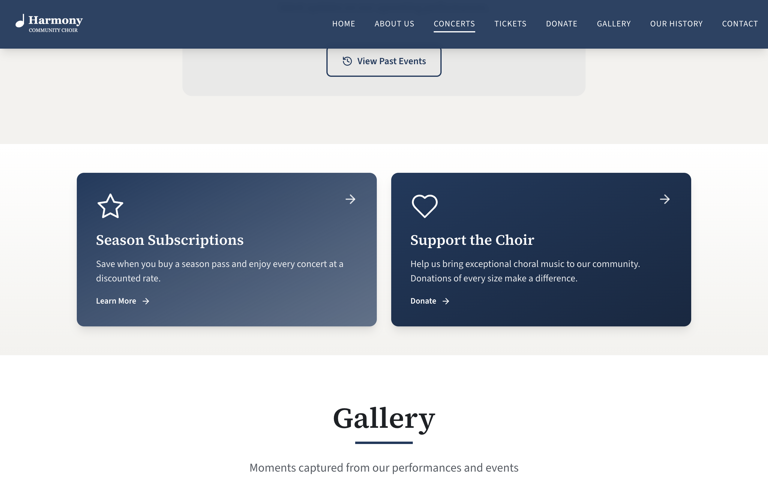 Two promo boxes side by side on the public home page, one in the accent colour and one in the primary colour, each with an icon, a title, a line of text and a link label with an arrow