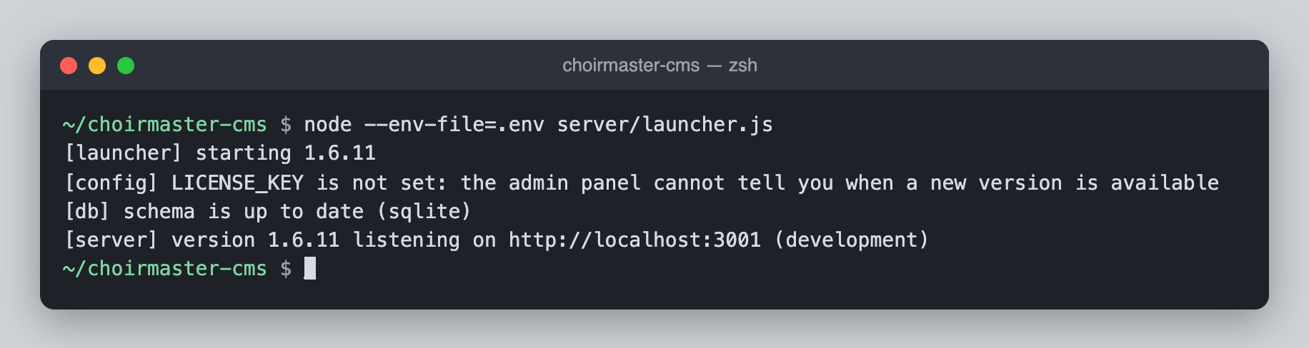 A terminal showing the first start: the launcher line, the schema line and the line saying the server is listening on port 3001