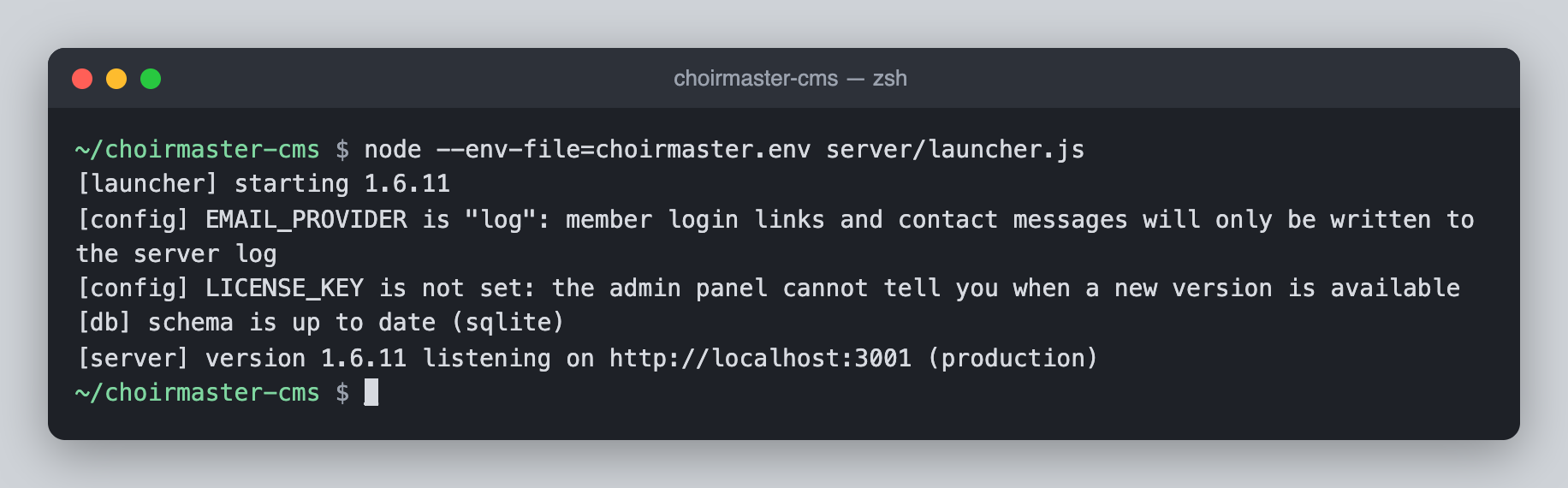 A terminal showing the start-up log with the launcher line, two [config] warnings, the [db] line and the [server] listening line